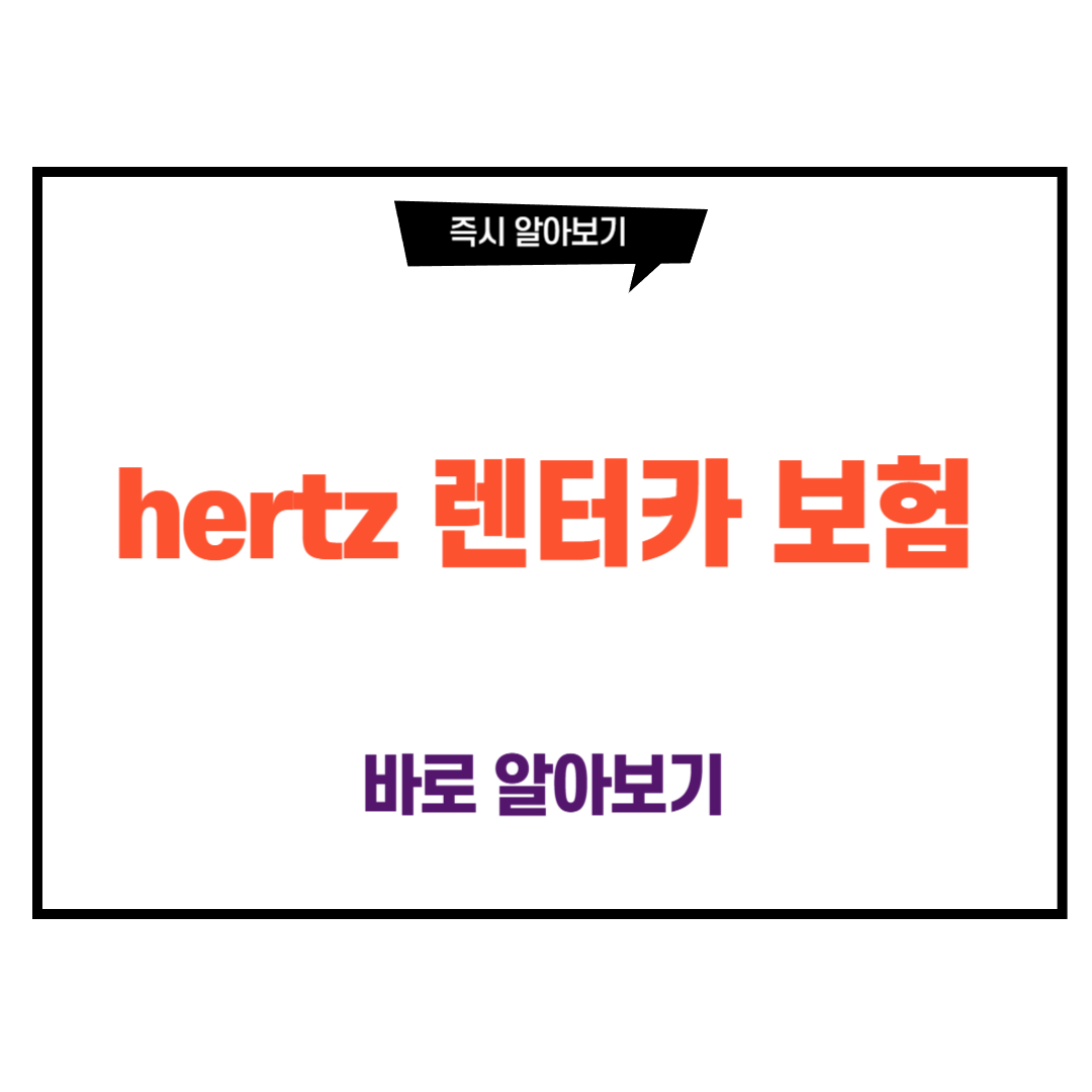 hertz 렌터카 보험