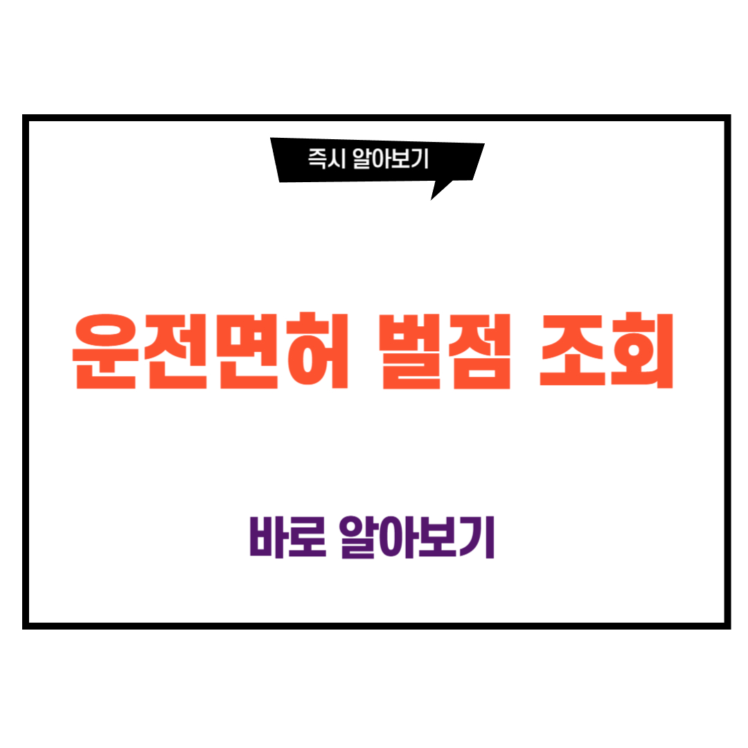 운전면허 벌점 조회