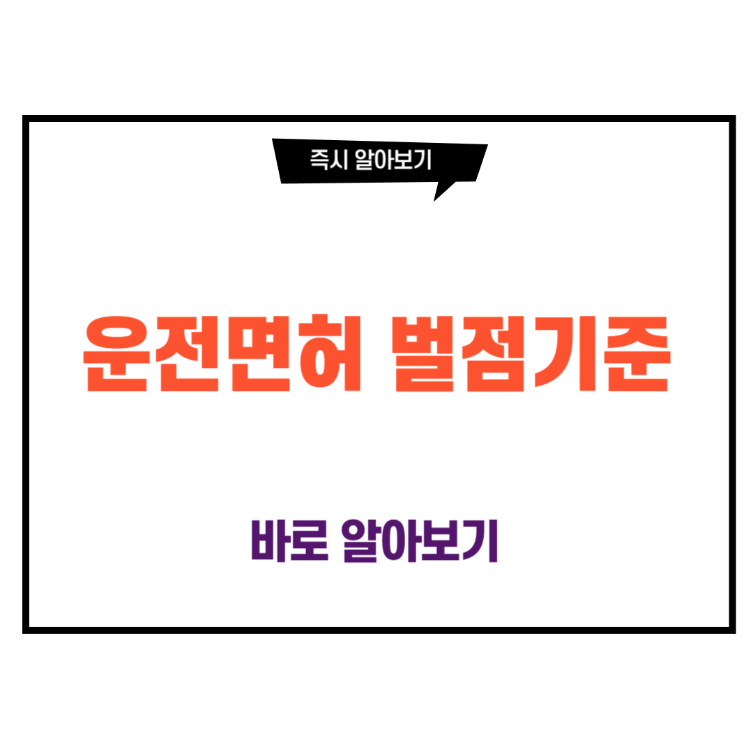 운전면허 벌점