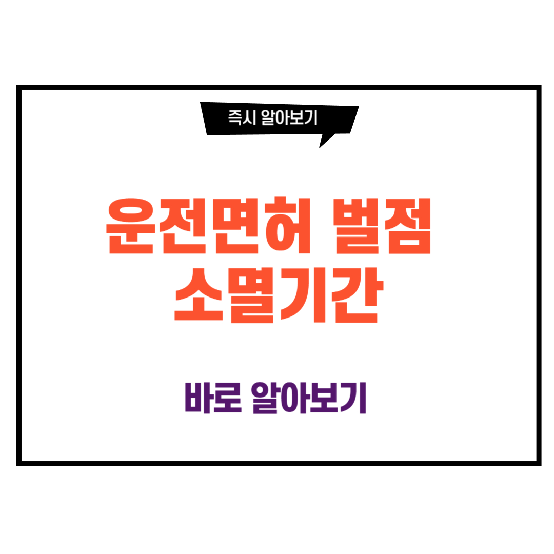 운전면허 벌점 소멸기간