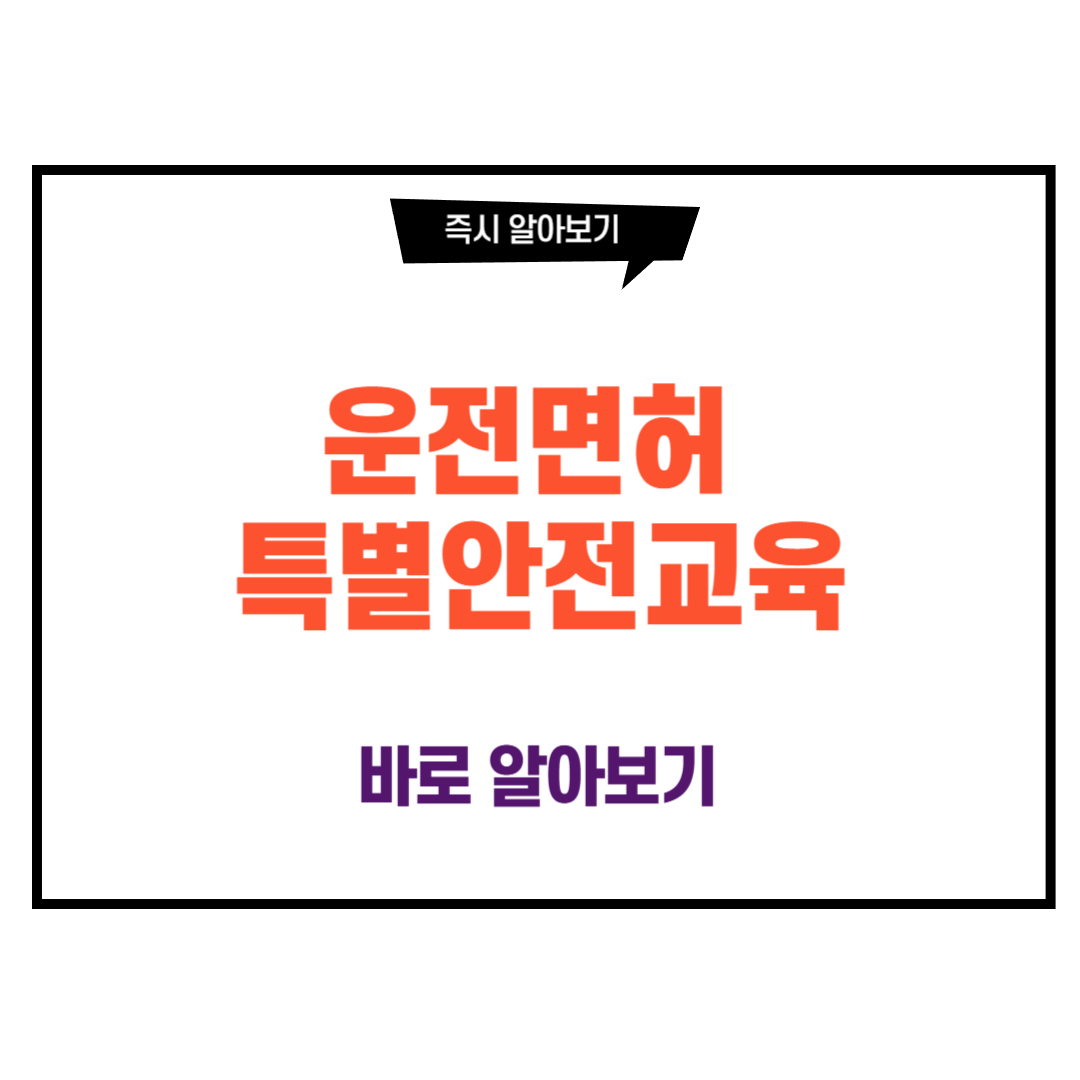 운전면허 특별안전교육