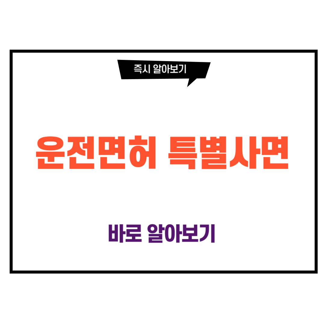 운전면허 특별사면