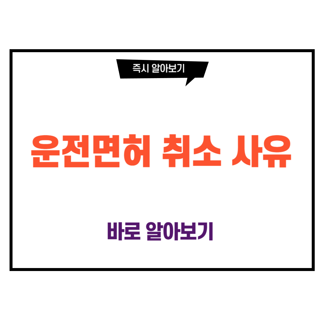 운전면허 취소 사유