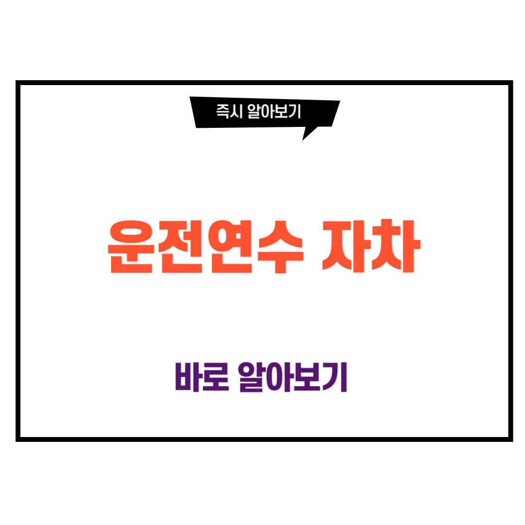 운전연수 자차