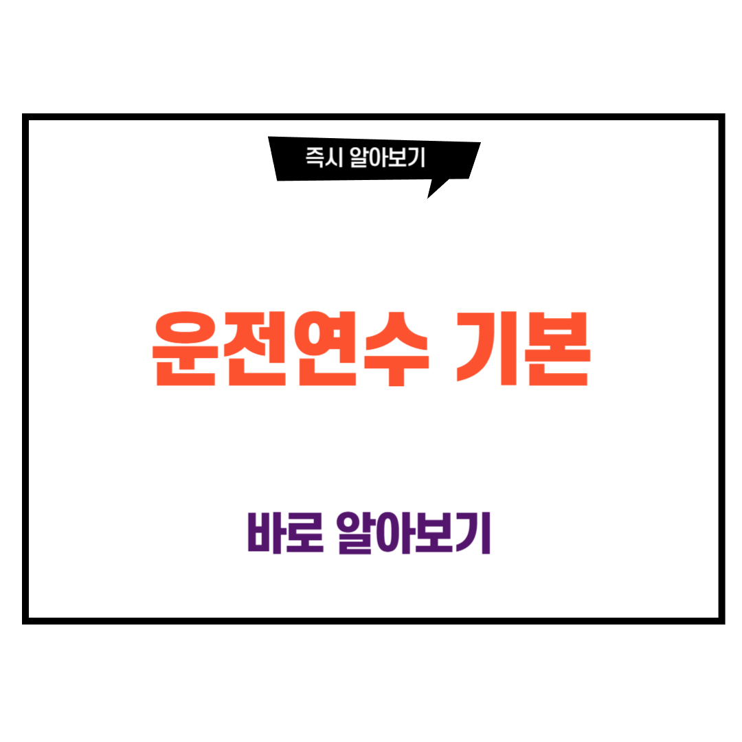 운전연수 기본