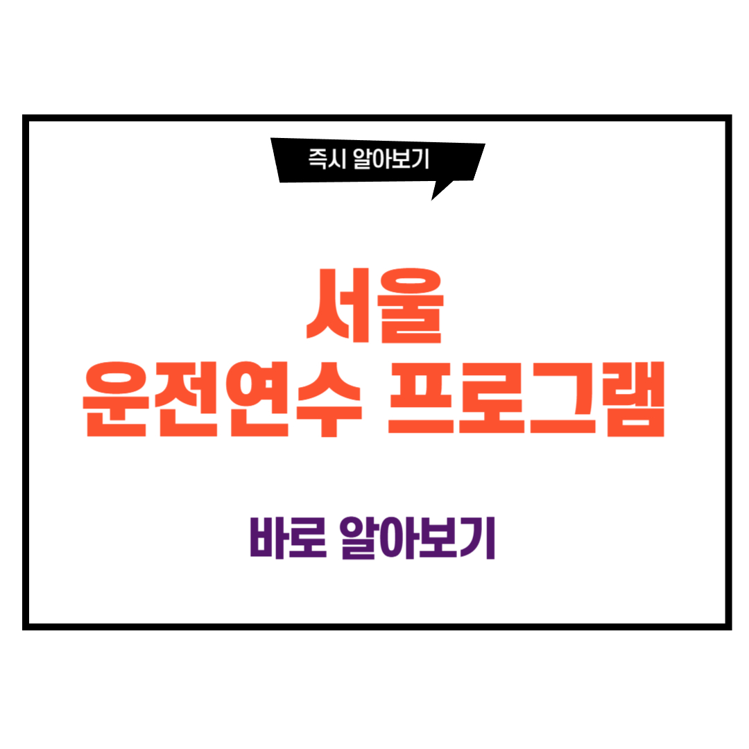 운전연수 프로그램
