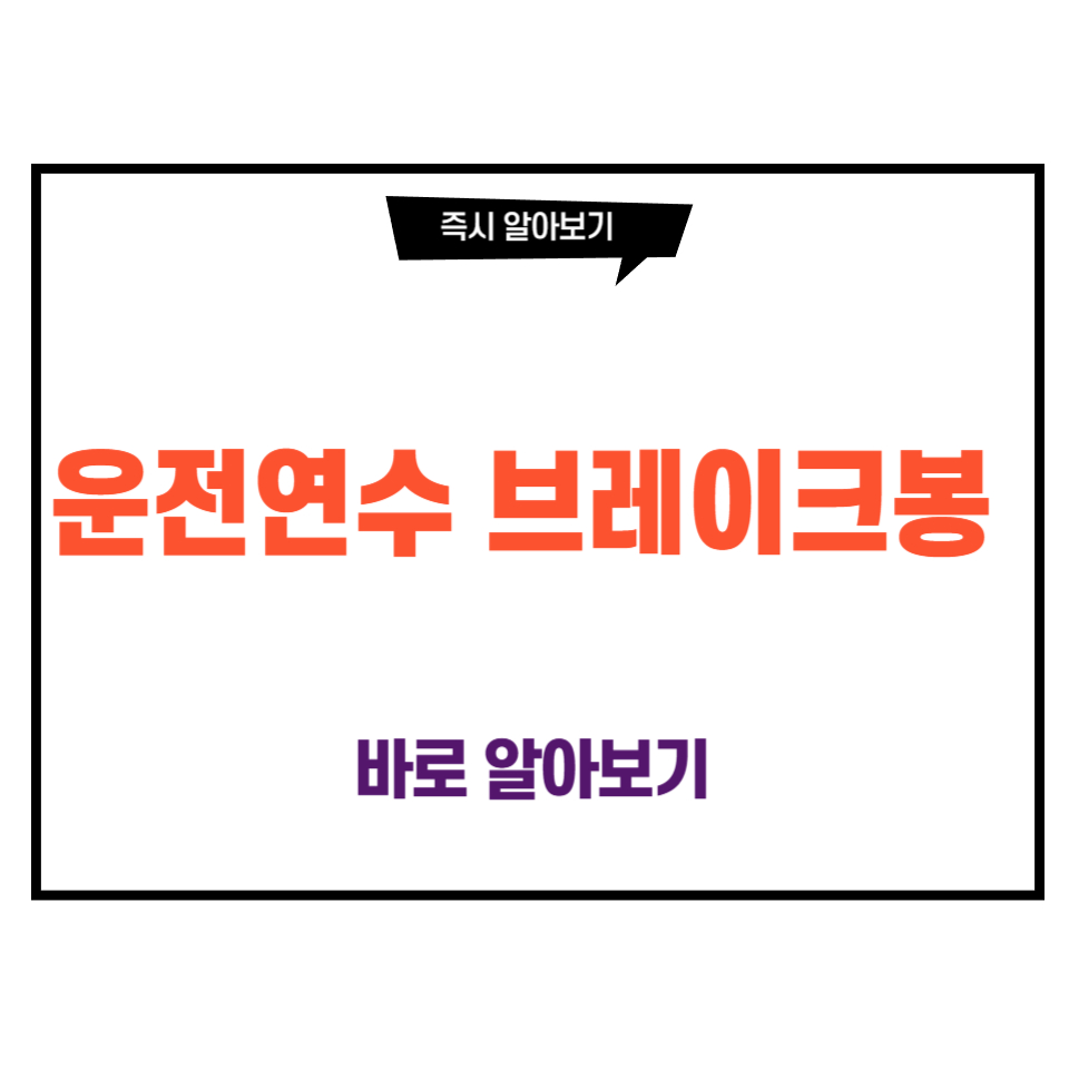 운전연수 브레이크봉