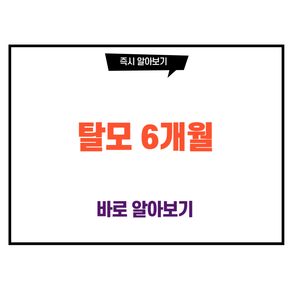 탈모 6개월