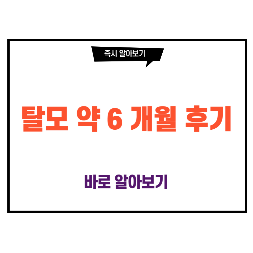 탈모 약 6 개월 후기