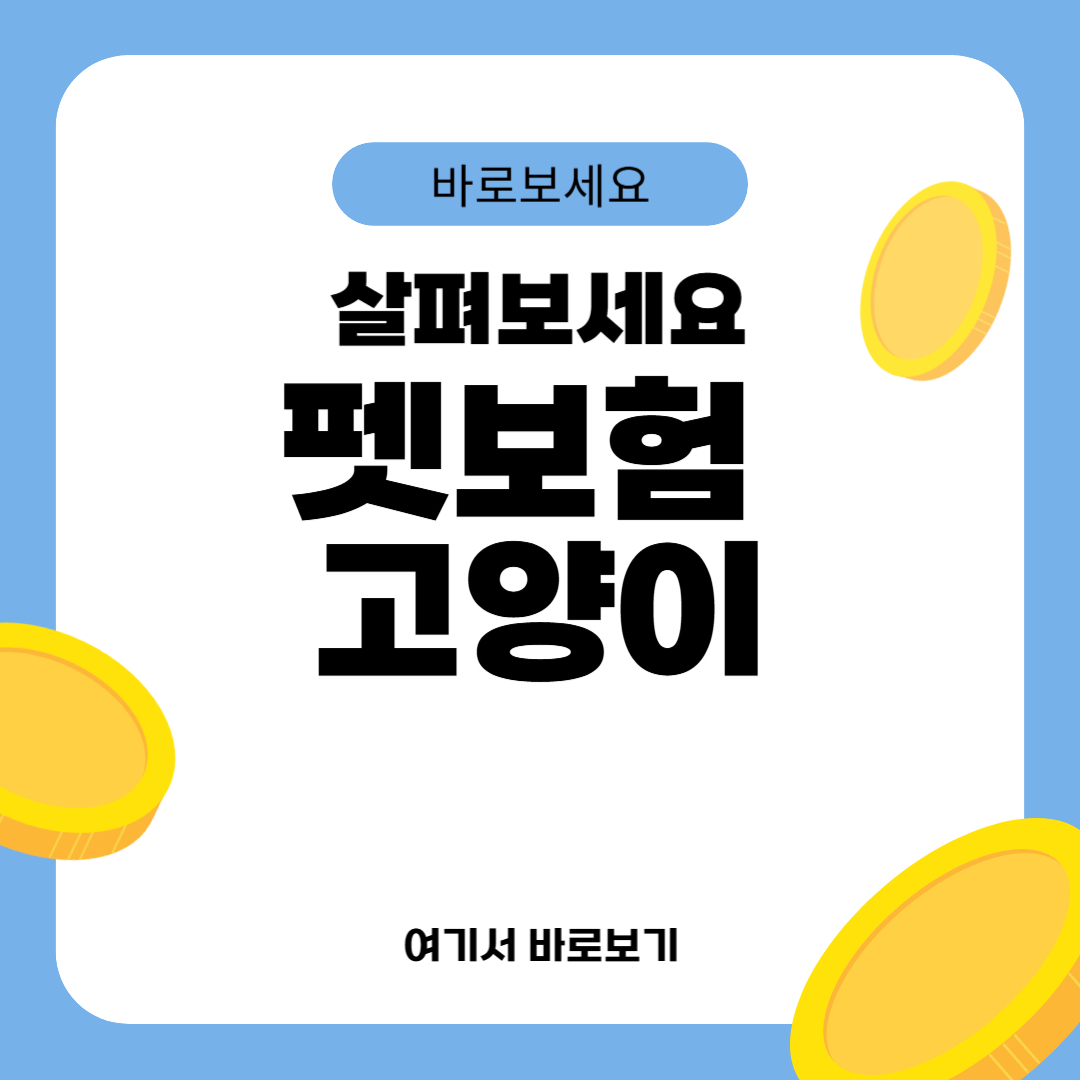 펫보험 고양이