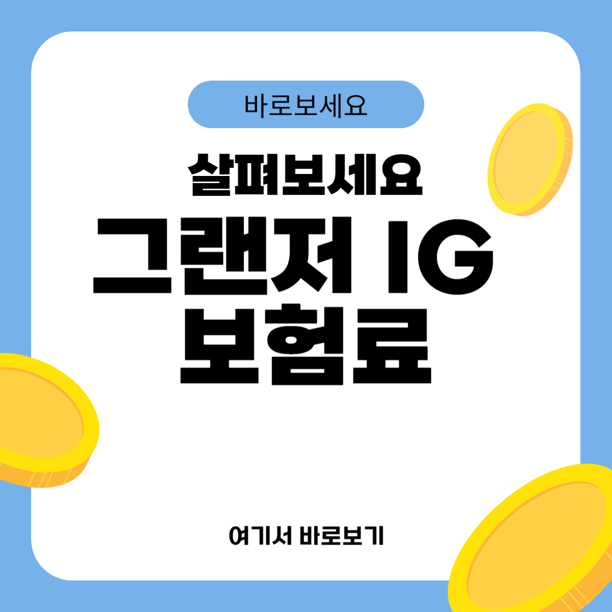 그랜저 IG 보험료