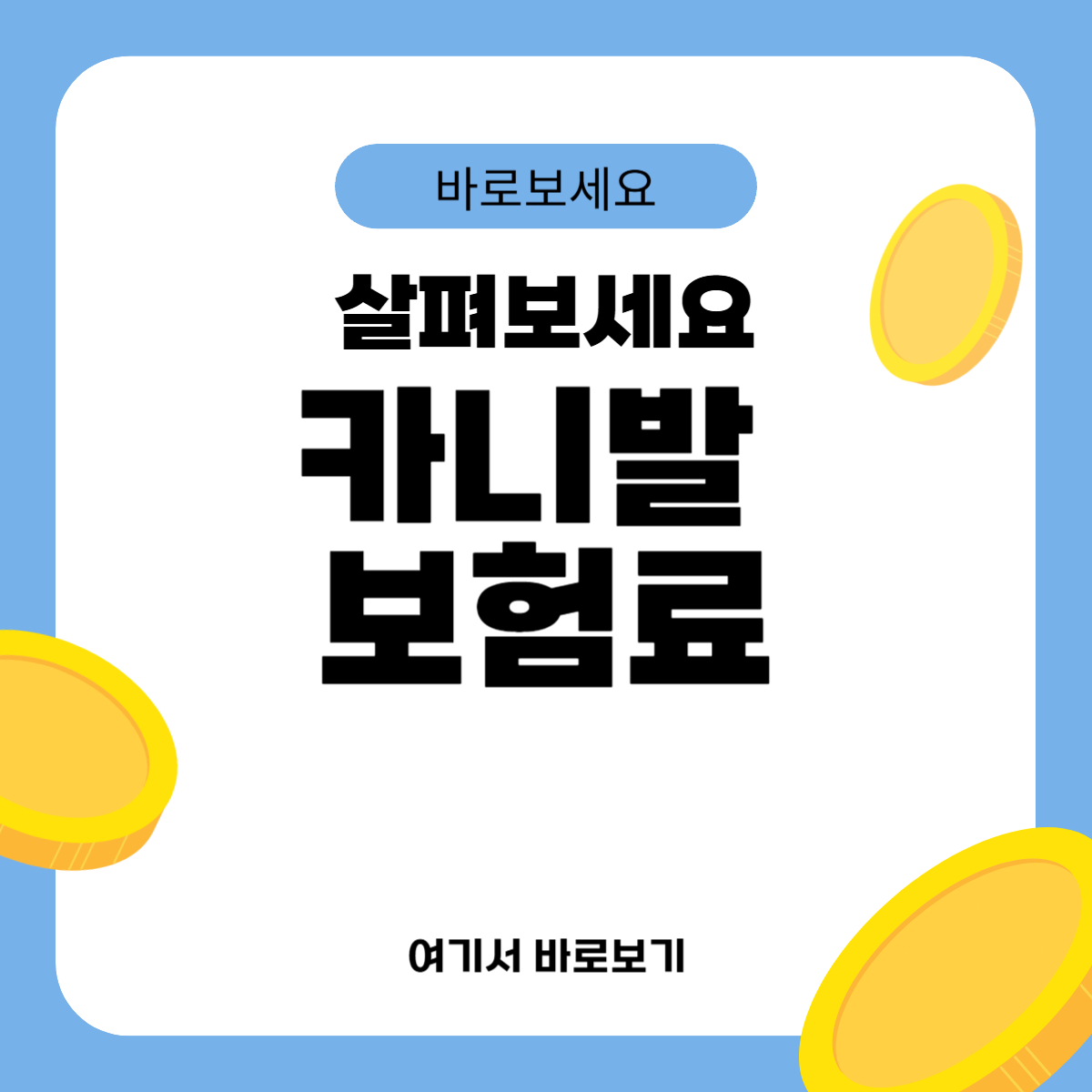 카니발 보험료