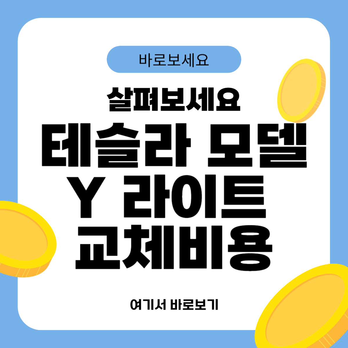 테슬라 모델Y 라이트 교체비용